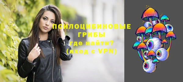 мдпв Покачи